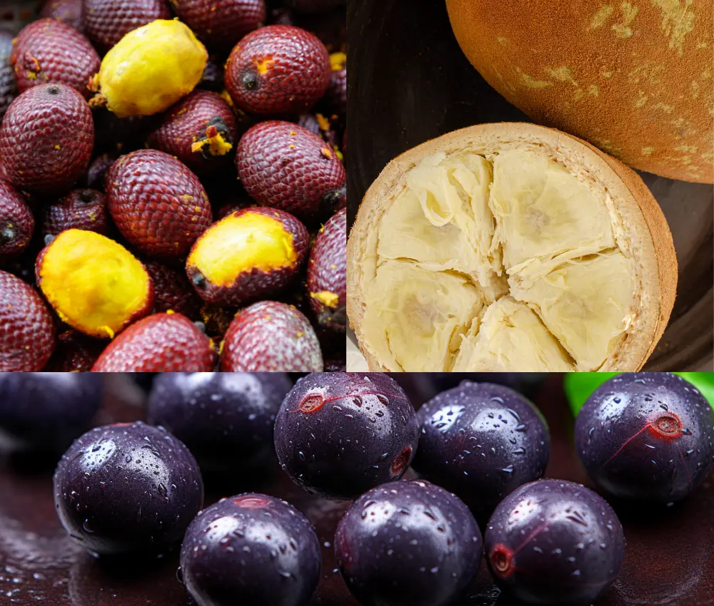 Frutas Amazônicas : Receitas para uma Pele Radiante