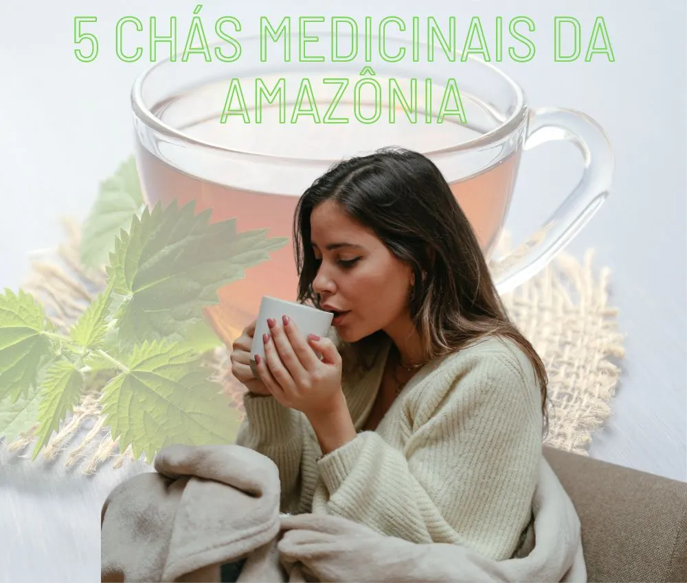 5 chás medicinais da Amazônia