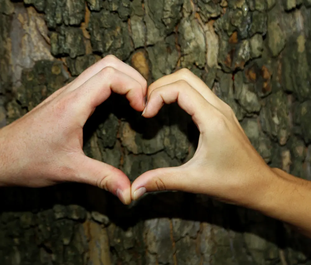 Proteção da Amazônia