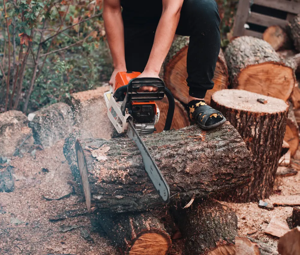 Desmatamento da Amazônia