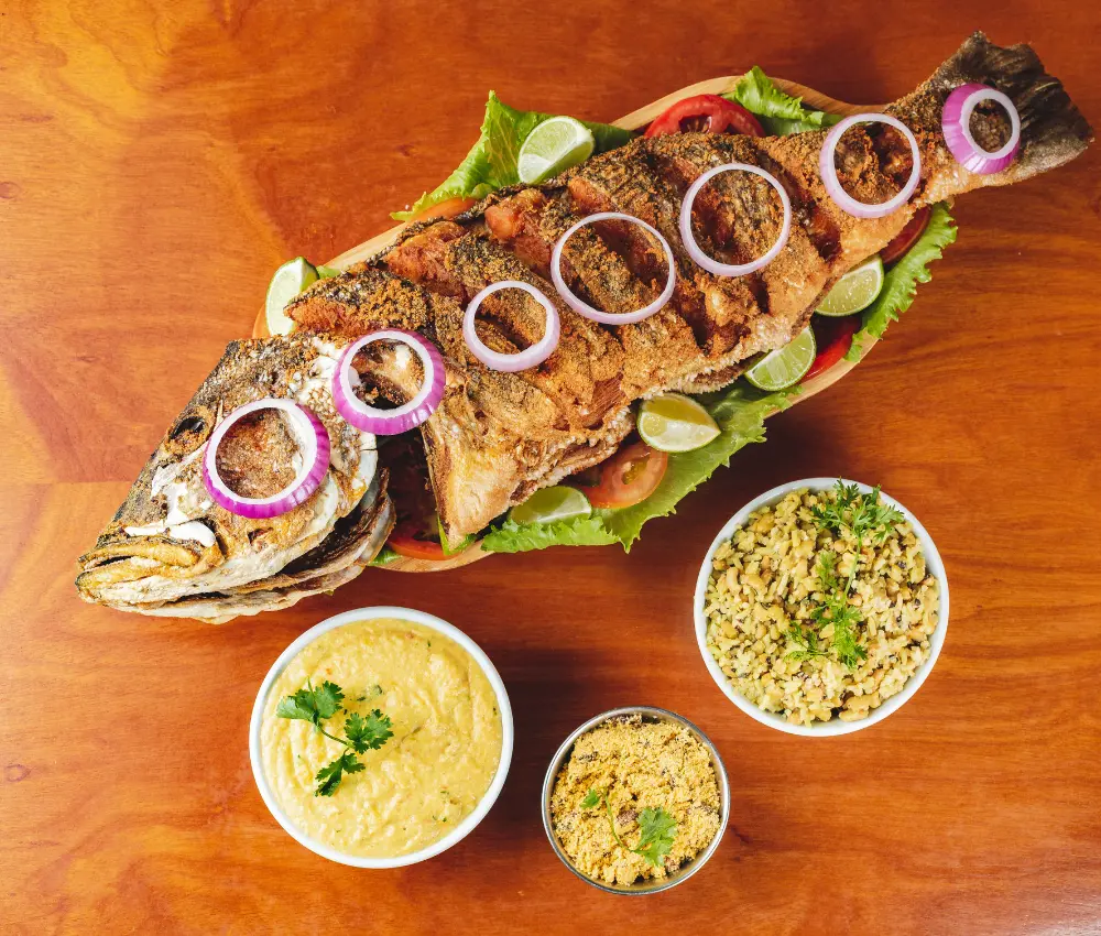 10 Peixes Nativos da Amazônia