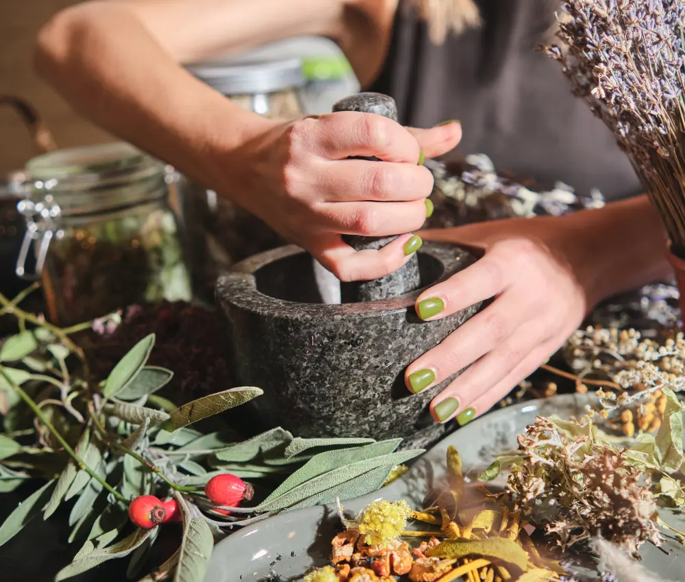  Plantas Medicinais da Amazônia