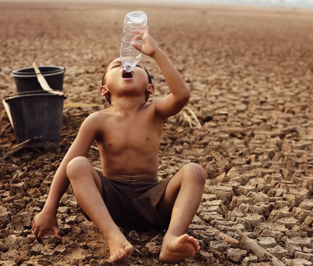 Seca na Amazônia: O que esperar para o futuro?