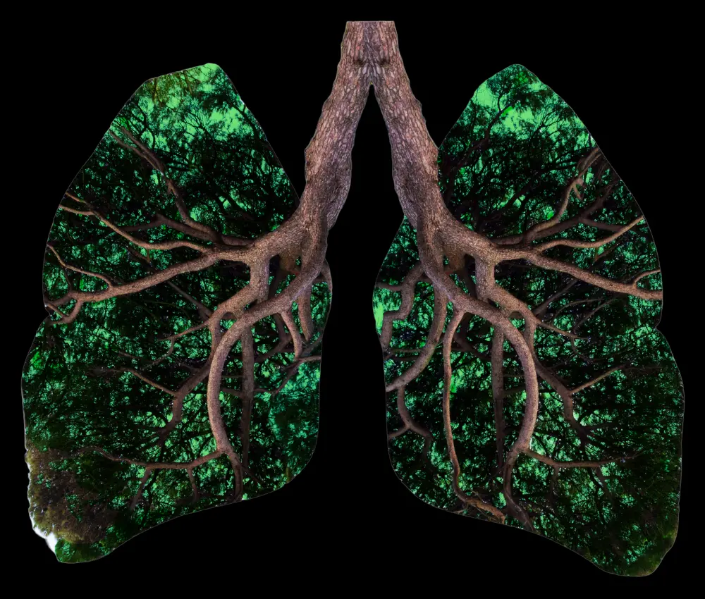 Amazônia: Pulmão do Mundo